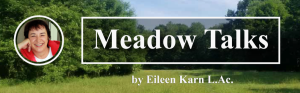 Meadow talks newsletter header